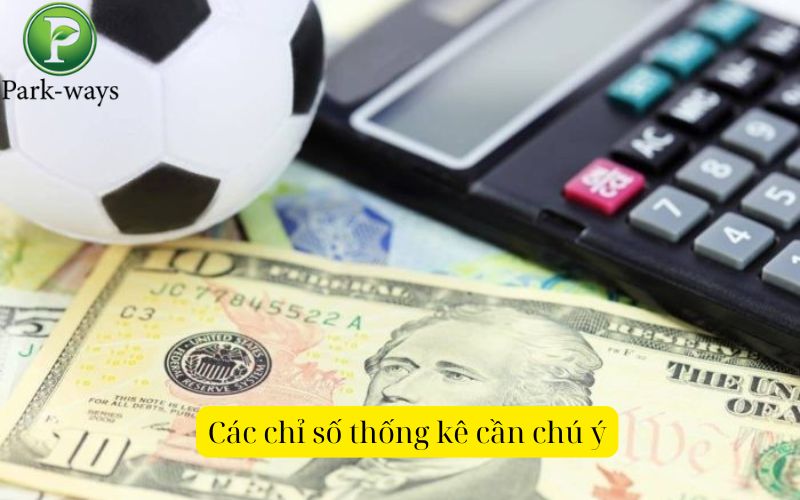 Các chỉ số thống kê cần chú ý