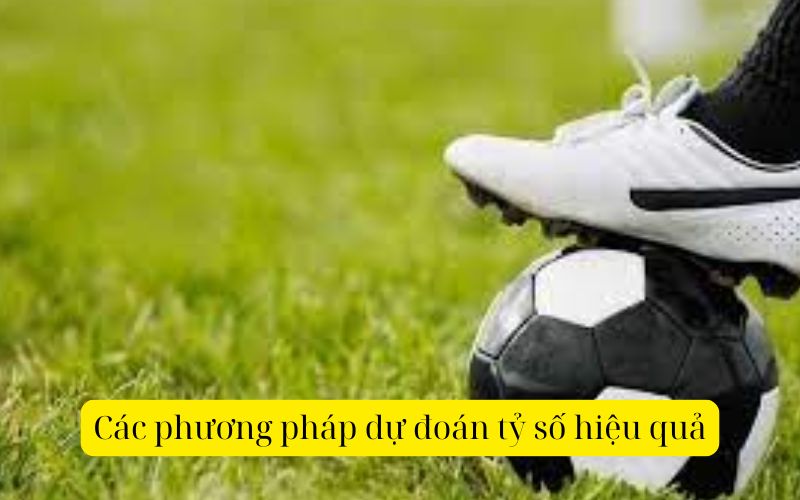 Các phương pháp dự đoán tỷ số hiệu quả