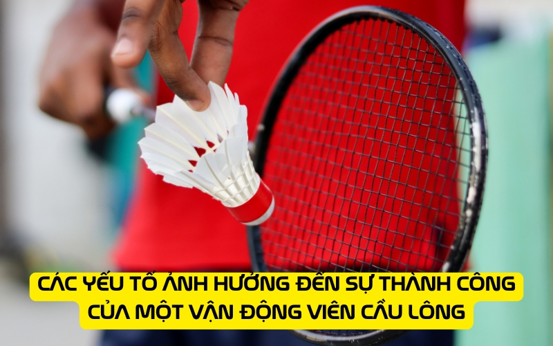 Các yếu tố ảnh hưởng đến sự thành công của một vận động viên cầu lông