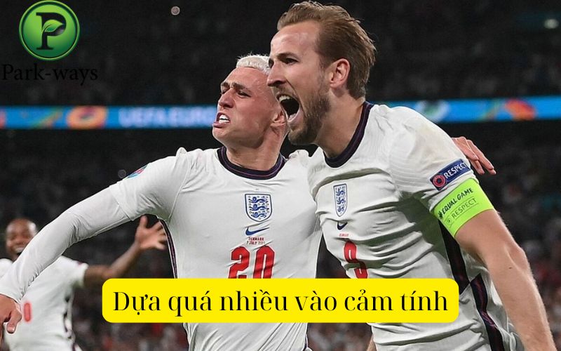 Dựa quá nhiều vào cảm tính