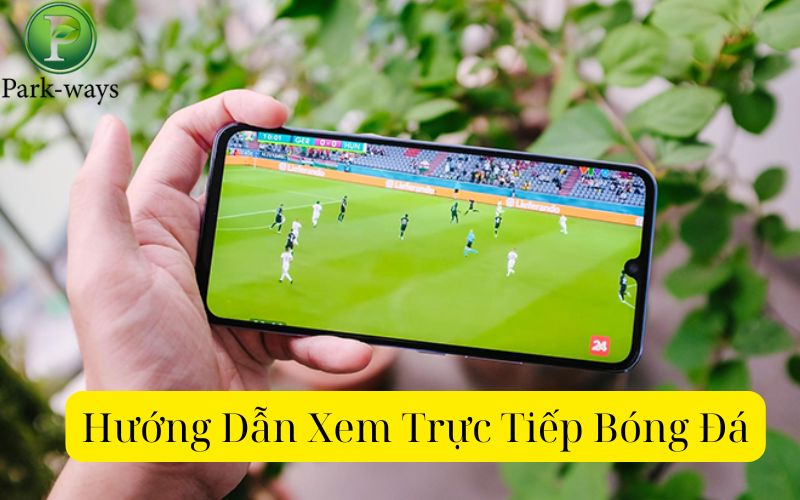 Hướng Dẫn Xem Trực Tiếp Bóng Đá