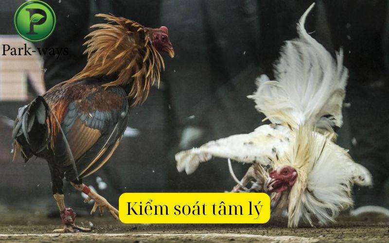 Kiểm soát tâm lý