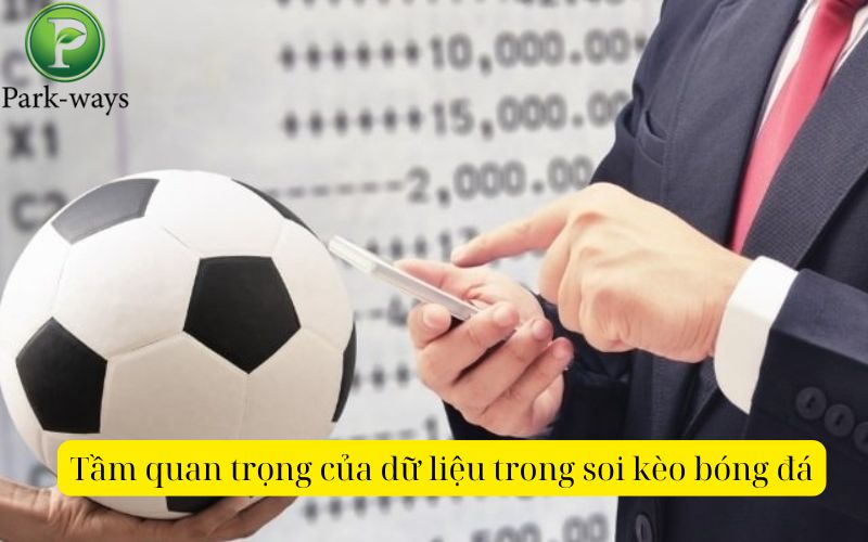Tầm quan trọng của dữ liệu trong soi kèo bóng đá