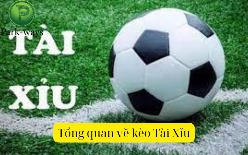 Tổng quan về kèo Tài Xỉu