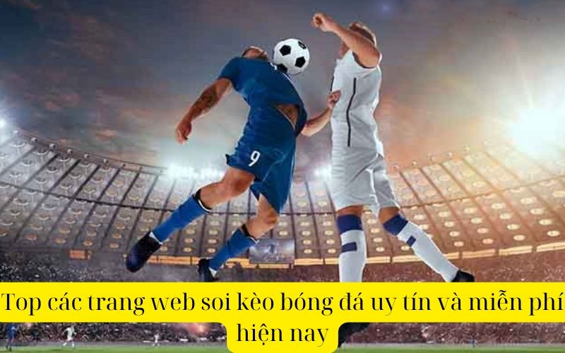 Top các trang web soi kèo bóng đá uy tín và miễn phí hiện nay