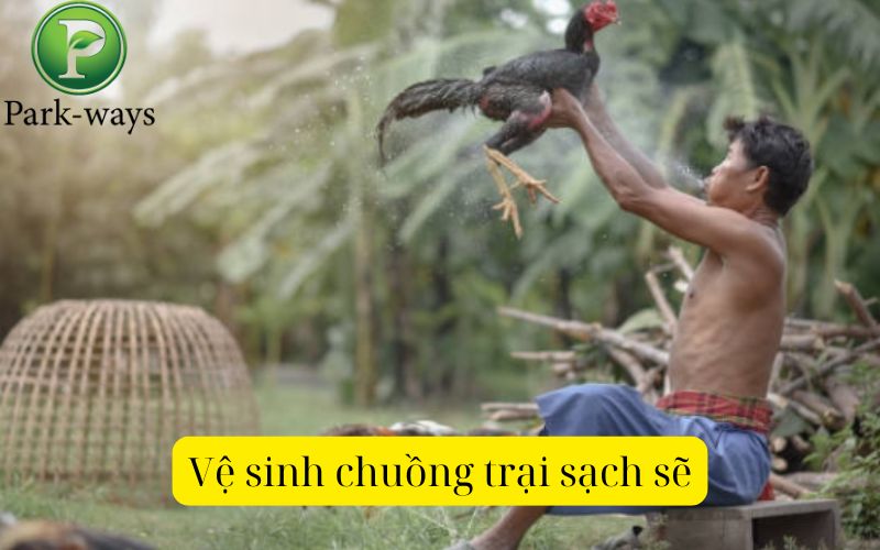 Vệ sinh chuồng trại sạch sẽ