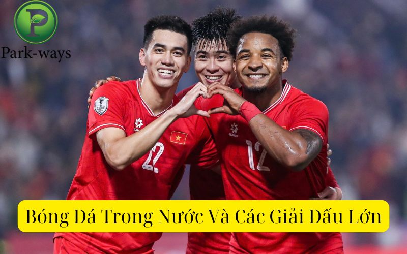 Bóng Đá Trong Nước Và Các Giải Đấu Lớn