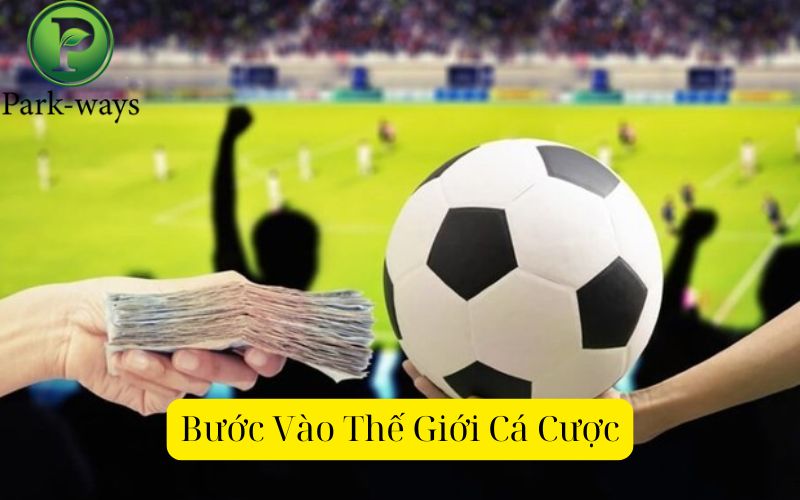 Bước Vào Thế Giới Cá Cược