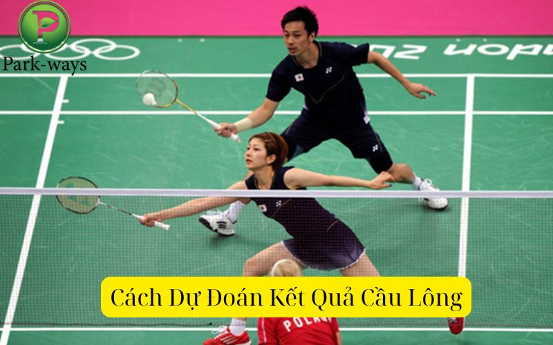 Cách Dự Đoán Kết Quả Cầu Lông