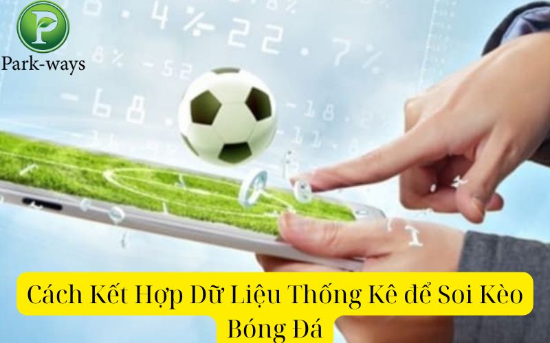 Cách Kết Hợp Dữ Liệu Thống Kê để Soi Kèo Bóng Đá