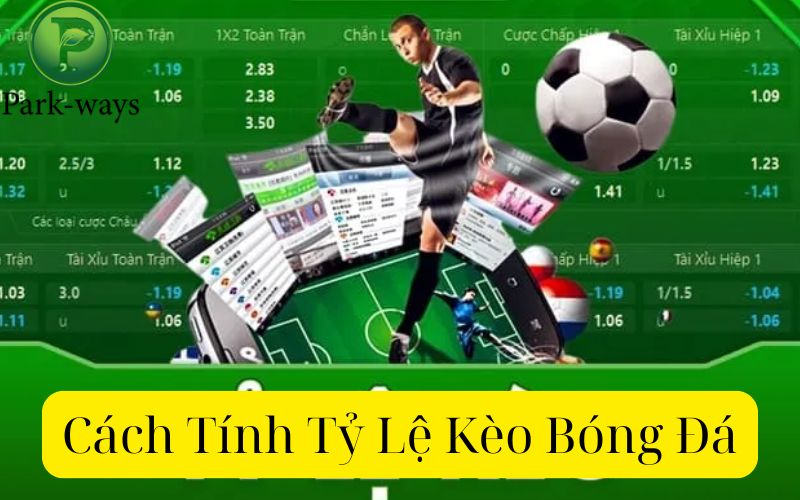 Cách Tính Tỷ Lệ Kèo Bóng Đá