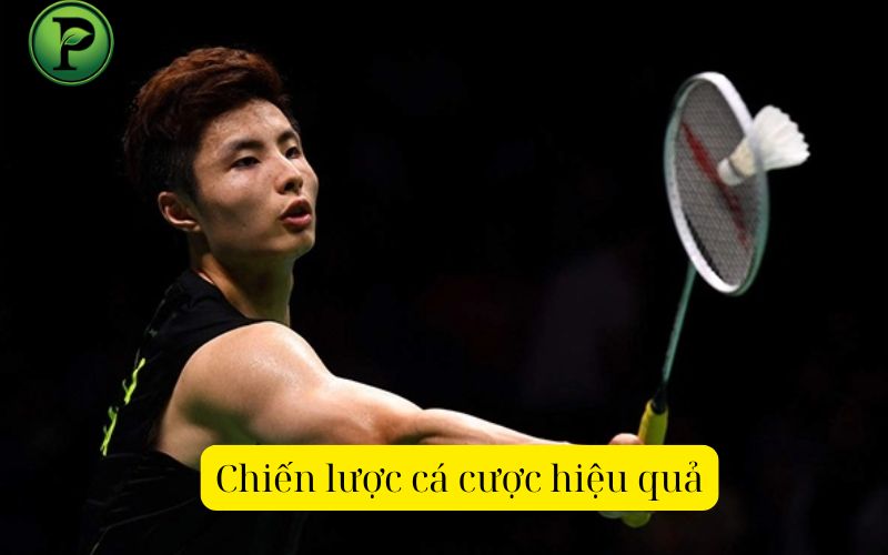 Chiến lược cá cược hiệu quả