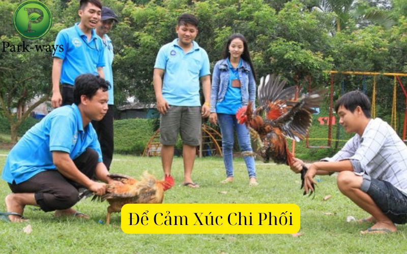  Để Cảm Xúc Chi Phối