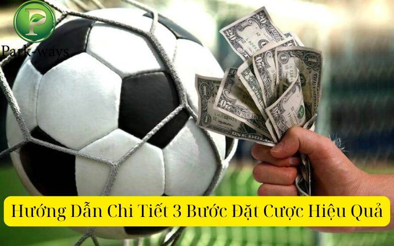 Hướng Dẫn Chi Tiết 3 Bước Đặt Cược Hiệu Quả