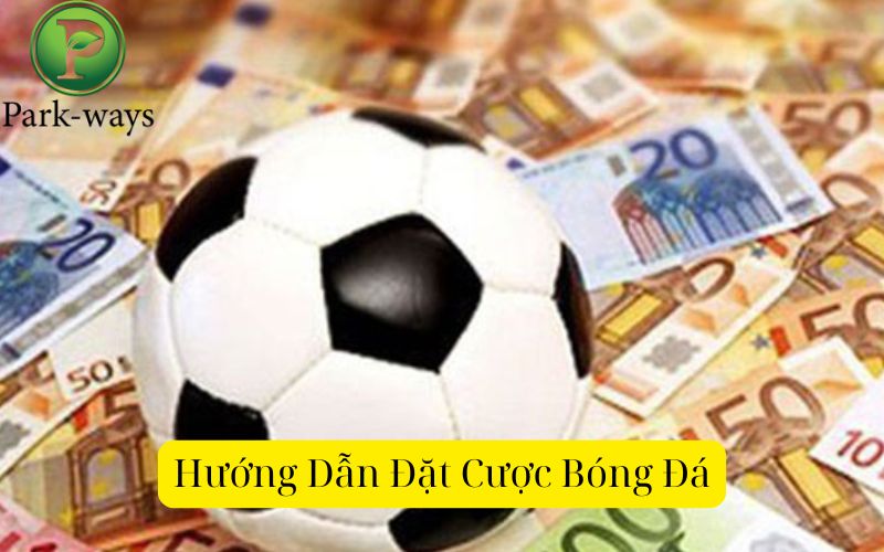 Hướng Dẫn Đặt Cược Bóng Đá