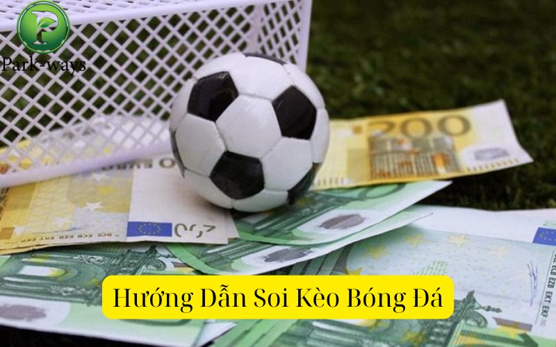 Hướng Dẫn Soi Kèo Bóng Đá