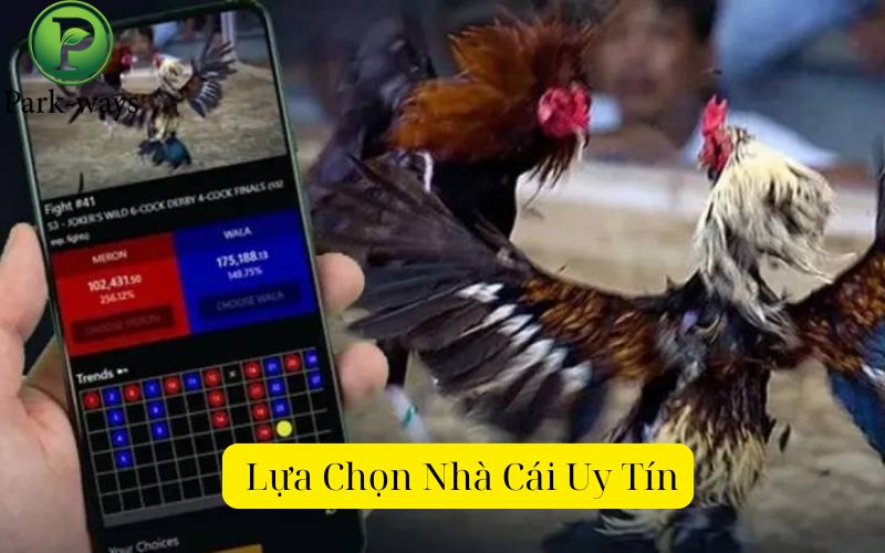  Lựa Chọn Nhà Cái Uy Tín