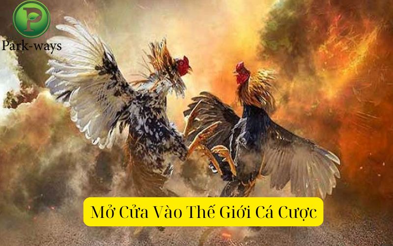 Mở Cửa Vào Thế Giới Cá Cược