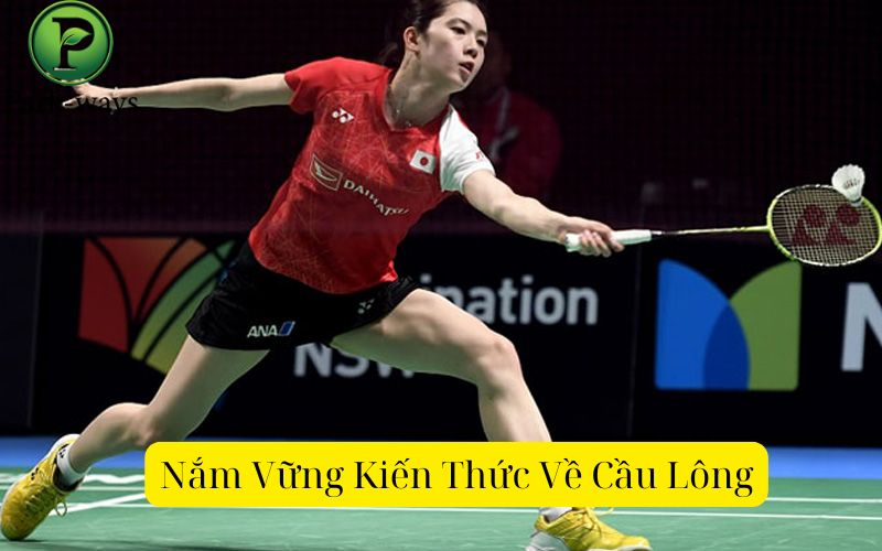 Nắm Vững Kiến Thức Về Cầu Lông
