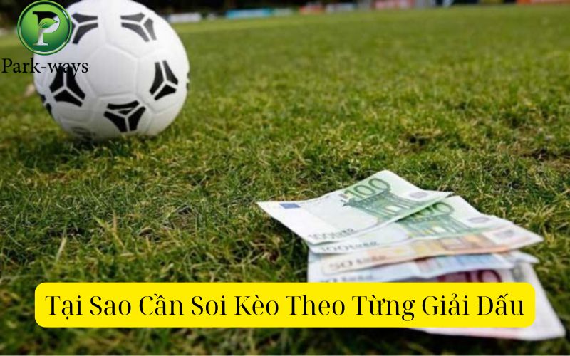 Tại Sao Cần Soi Kèo Theo Từng Giải Đấu?
