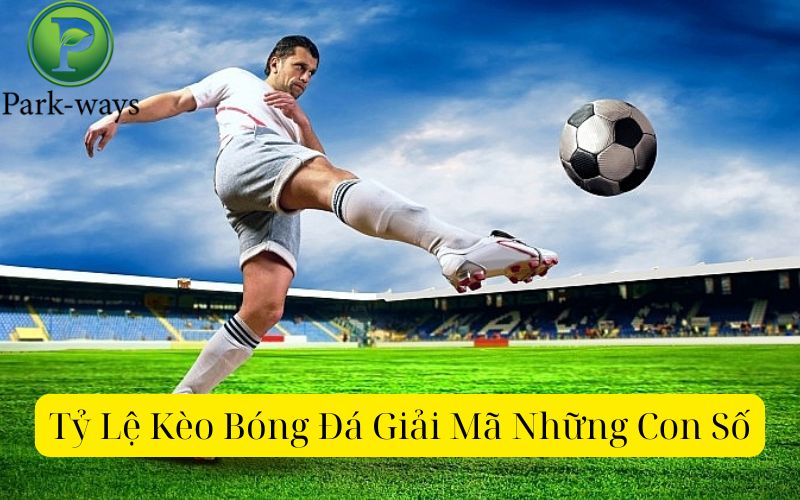 Tỷ Lệ Kèo Bóng Đá Giải Mã Những Con Số