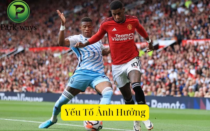Yếu Tố Ảnh Hưởng