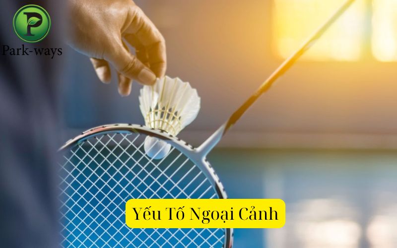 Yếu Tố Ngoại Cảnh