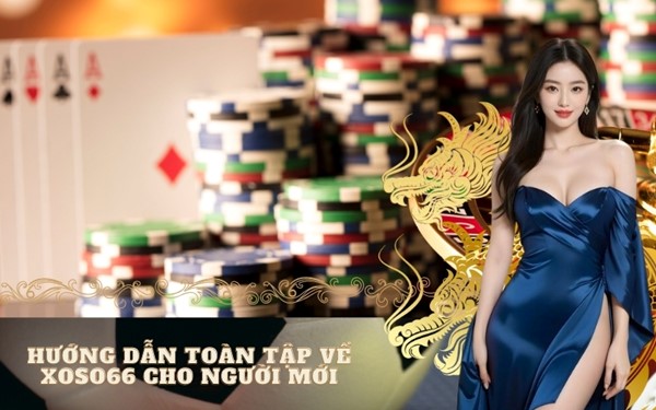 Liên hệ xoso66