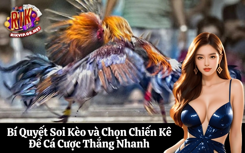 Bí Quyết Soi Kèo và Chọn Chiến Kê Để Cá Cược Thắng Nhanh