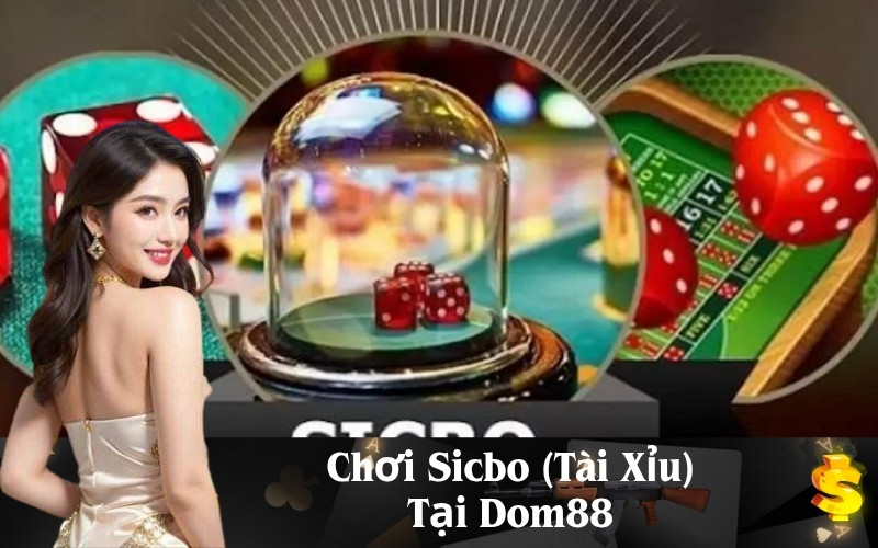 Các Loại Cược Phổ Biến Trong Sicbo