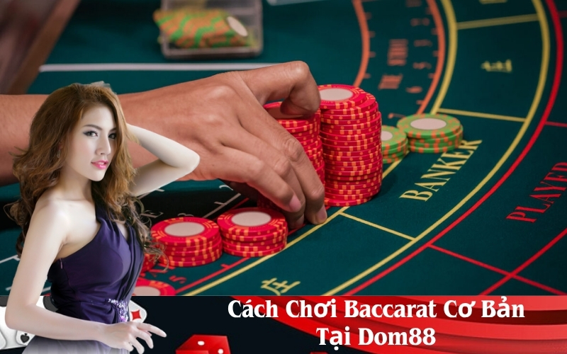 Cách Chơi Baccarat Cơ Bản Tại Dom88