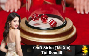 Chơi Sicbo (Tài Xỉu) Tại Dom88