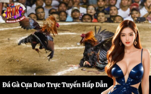 Đá Gà Cựa Dao Trực Tuyến Hấp Dẫn
