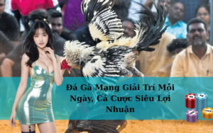 Đá Gà Mạng Giải Trí Mỗi Ngày, Cá Cược Siêu Lợi Nhuận