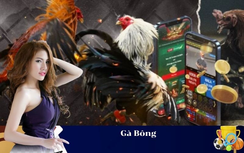 Gà Bông