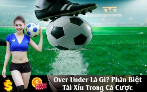 Over Under Là Gì Phân Biệt Tài Xỉu Trong Cá Cược