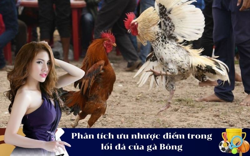 Phân tích ưu nhược điểm trong lối đá của gà Bông