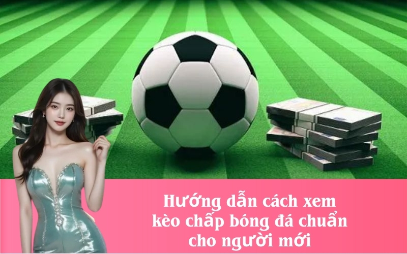 Hướng dẫn cách xem kèo chấp bóng đá chuẩn cho người mới