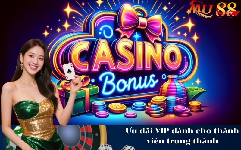 Ưu đãi VIP dành cho thành viên trung thành